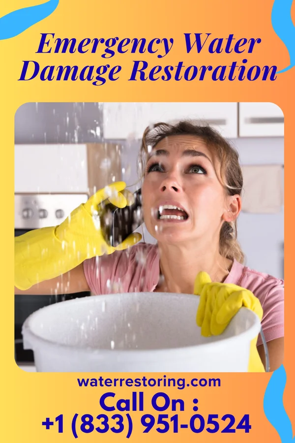 Emergency Water Damage Restoration in Turkey, TX