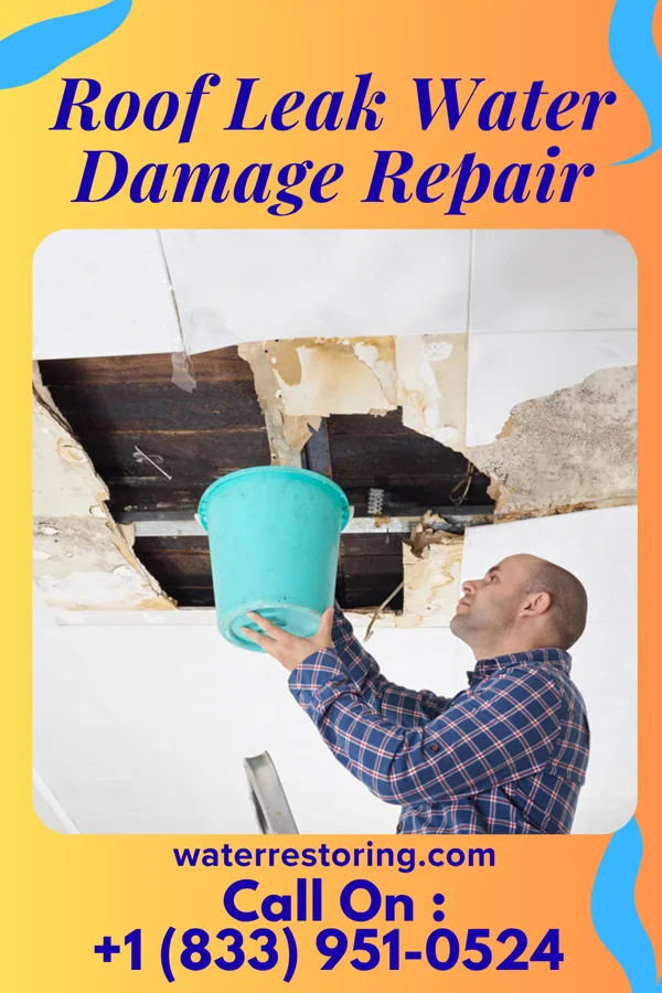 Roof Leak Water Damage Repair in Turkey, TX
