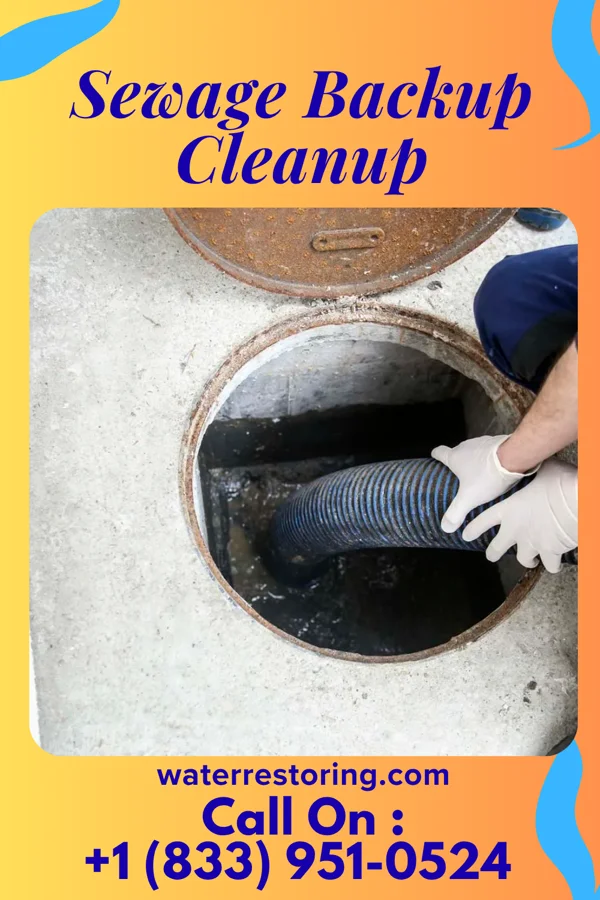 Sewage Backup Cleanup in Turkey, TX