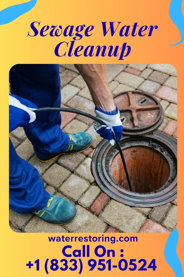 Sewage Water Cleanup in Turkey, TX